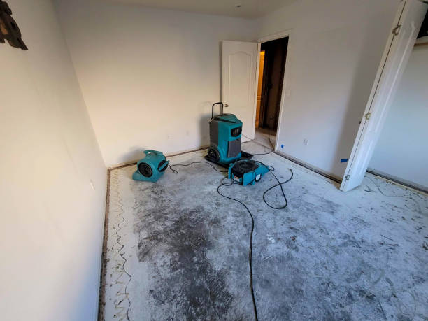 Best Sewage cleanup and water damage restoration  in Newkirk, OK