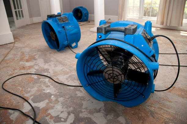  Newkirk, OK Water damage restoration Pros