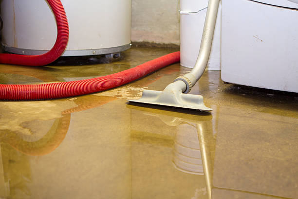 Best Water damage cleanup near me  in Newkirk, OK