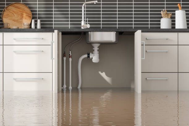 Best Emergency water extraction  in Newkirk, OK
