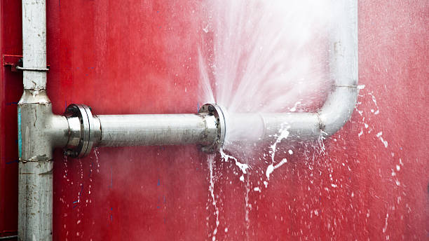 Best Carpet water damage restoration  in Newkirk, OK