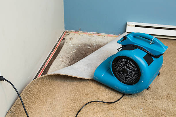 Best Flooded house restoration  in Newkirk, OK